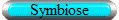 Symbiose